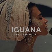 Ultra Beasts Iguana Reggaeton Instrumental