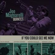 Joe Magnarelli I Think I Ll Go Away