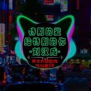 特别的爱给特别的你Dj版 刘汉成 Remix