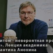 Константин Анохин Лекции