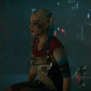 Rap Harley Quinn Edit