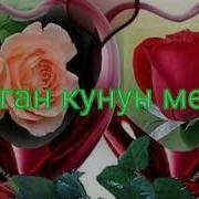 Кут Болсун Сенин Тулган Кунун Жалилкызы Зылдыз