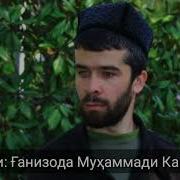 Газал Нишонат Меравад 2022 Бо Садои Кори Алишер