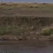 Анвари Солех Умри Худ