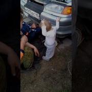Ну Ка Быстро Домой