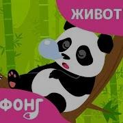 Панда Ни Хао Панда Песни Про Животных Пинкфонг Песни Для Детей