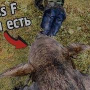З Тобою Если Стать Кабаном