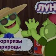 Лунтик И Его Друзья 26