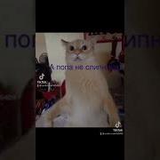 Попа Не Слипнется