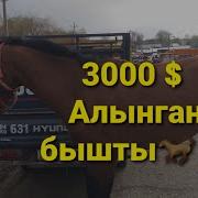 Ак Бата Маданият Мал Базары