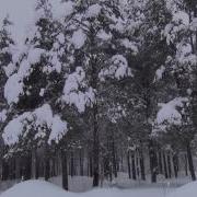 Сергей Чекалин Июль