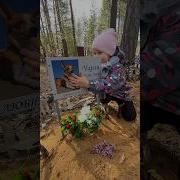 Это Хомяк Тв И Я Наградил В Ананас