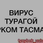 Тур Кыргызым Турагой