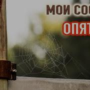 Опять Мои Соседи Странно Себя Ведут Страшные Истории На Ночь