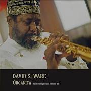 David S Ware Organica Vol 1