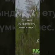 Зырлайды Уақыт