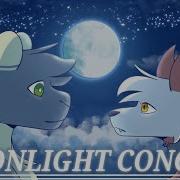 Moonlight Concert Amv Pmv