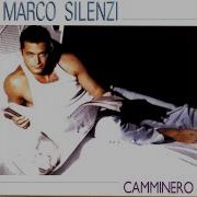 Marco Silenzi Camminero