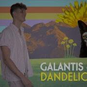 Galantis Jvke Dandelion