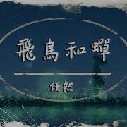 爱上你是一个错 Dj版 黑暗萝莉 Mc徐友根 Dj许民灿 雅阁陌 迁 言樊Music