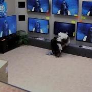 Пранк Девушка Из Звонка Вылезает Из Реального Телевизора