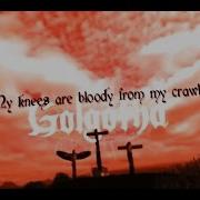 Golgotha Wasp