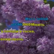 Колмагорова Жанна Мама Караоке