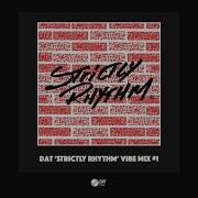 Dat Vibe Mix Strictly Rhythm 1 Vinyl Only