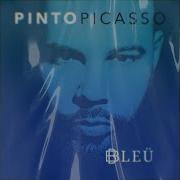 Pinto Picasso Senal