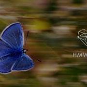 Yamil Up Down Extended Mix Deep House 2025 Get Physical
