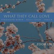 Ferdinand Weber What They Call Love Zoom Like Remix