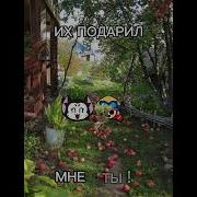 Ландыши Девушка Юноше Делает Минет