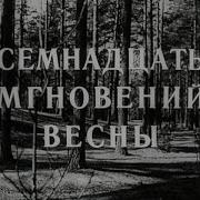 Семнадцать Мгновений Весны Аудиокнига Полная Верстя