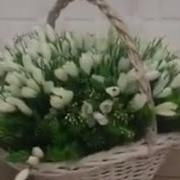 Подснежники Юра Шатунов
