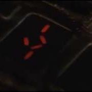 Predator S Timer Countdown