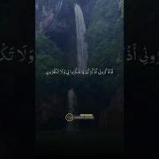 Аллах В Коране Говорит