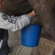 Инстаграмда Хит Болған Видео