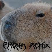 Capybara Phonk Remix