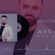 Аркадий Думикян Balikneris