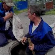 Песня Про Слесаря Сантехника Лан Терм