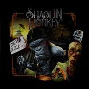 Shaolin Monkey Rolling