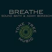 I Take A Breath I Forget Adam Bokesch