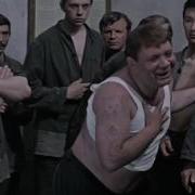 А Вам Не Кажется Что Ваше Место У Параши
