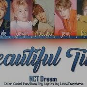 Beautiful Time Nct Dream