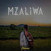 Loyalty Driemo Mw Topic