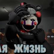 Новая Жизнь Фнаф