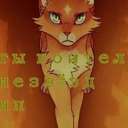 Коты Воителы Горит Огонь Во Мне