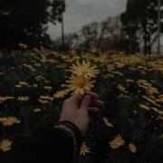 Александр Рыбак Котик Slowed And Reverb