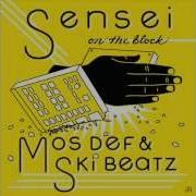 Sensei Block