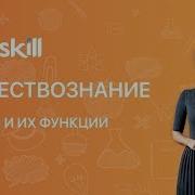 Обществознание 7 Класс